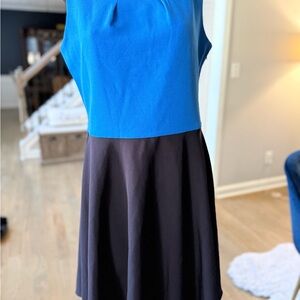 The Limited Blue and Black Midi Dress